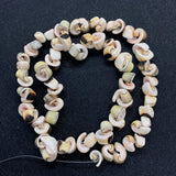 Natural Conch Shell Loose Beads for DIY Jewelry Making