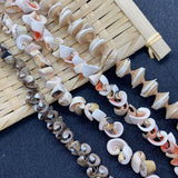 Natural Conch Shell Loose Beads for DIY Jewelry Making