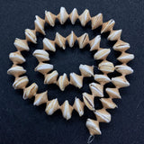Natural Conch Shell Loose Beads for DIY Jewelry Making