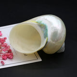 Natural Conch Snail Hermit Crab Replacement Shells Fish Tank Decor
