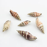 10pcs Natural Cowrie Shells Conch Charms Loose Beads for DIY Bohemia Jewelry