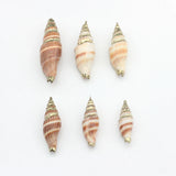 10pcs Natural Cowrie Shells Conch Charms Loose Beads for DIY Bohemia Jewelry
