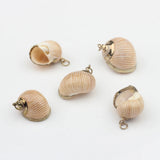 Cowrie Shells Charms Loose Beads 10pcs for DIY Jewelry Making