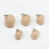 Cowrie Shells Charms Loose Beads 10pcs for DIY Jewelry Making