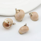 Cowrie Shells Charms Loose Beads 10pcs for DIY Jewelry Making