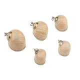 Cowrie Shells Charms Loose Beads 10pcs for DIY Jewelry Making