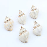 10pcs Cowrie Shells Conch Charms Loose Beads DIY Bohemia Jewelry