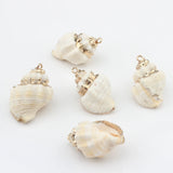 10pcs Cowrie Shells Conch Charms Loose Beads DIY Bohemia Jewelry