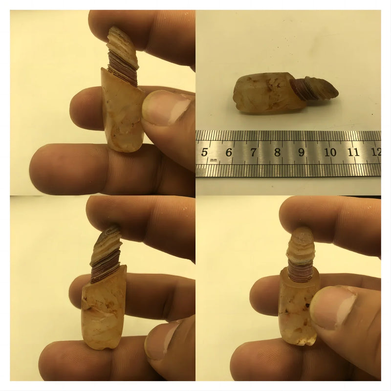 Gobi Desert Agate Stone - Unique Natural Crystal from Outer Mongolia