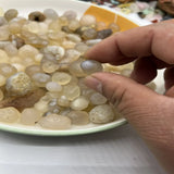 Natural Crystal Raw Stone Inner Mongolia Gobi Desert Agate