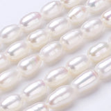 Freshwater Pearl Beads Strands for DIY Jewelry Making