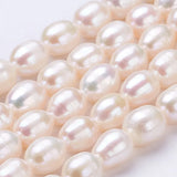 Freshwater Pearl Beads Strands for DIY Jewelry Making