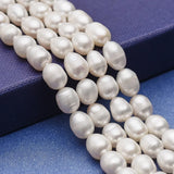 Freshwater Pearl Beads Strands for DIY Jewelry Making