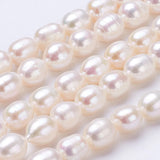 Freshwater Pearl Beads Strands for DIY Jewelry Making