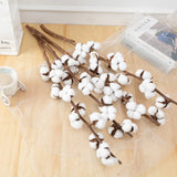 Natural Dried Cotton Flowers DIY Artificial Flowers Bouquet Home Decor