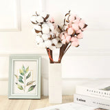 Natural Dried Cotton Flowers DIY Artificial Flowers Bouquet Home Decor