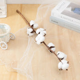 Natural Dried Cotton Flowers DIY Artificial Flowers Bouquet Home Decor