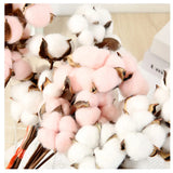 Natural Dried Cotton Flowers DIY Artificial Flowers Bouquet Home Decor