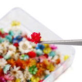 Natural Dried Flower Epoxy Resin Fillings DIY Epoxy Resin Mold Filler