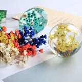 Natural Dried Flower Epoxy Resin Fillings DIY Epoxy Resin Mold Filler