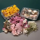 Dried Flowers Box DIY Photo Frame Flower Christmas Jewelry