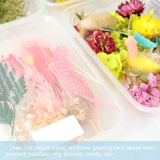 Mixed Eternal Flowers for DIY Aromatherapy Candles