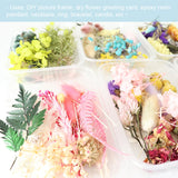 Mixed Eternal Flowers for DIY Aromatherapy Candles