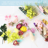 Mixed Eternal Flowers for DIY Aromatherapy Candles