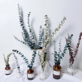 Dried Flowers Party Decoration Resin Real Leaves Frame Craft DIY