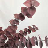 Dried Flowers Party Decoration Resin Real Leaves Frame Craft DIY