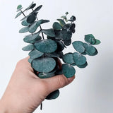 Dried Flowers Party Decoration Resin Real Leaves Frame Craft DIY