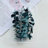 Dried Flowers Party Decoration Resin Real Leaves Frame Craft DIY