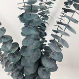 Dried Flowers Party Decoration Resin Real Leaves Frame Craft DIY