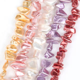 Mother Of Pearl Chips Beads Colorful Shell Beads For Jewelry Making