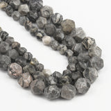 Faceted Map Jaspers Stone Beads Round Loose Spacer Beads 6 8 10mm