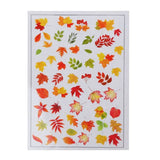 Natural Flowers Leaves Goldfish Epoxy Resin Fillers Jewelry Fillings Materials