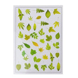 Natural Flowers Leaves Goldfish Epoxy Resin Fillers Jewelry Fillings Materials