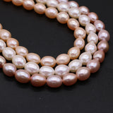 Freshwater Pearl Beads 8-9mm Rice Shape DIY Jewelry Making