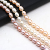 Freshwater Pearl Beads 8-9mm Rice Shape DIY Jewelry Making