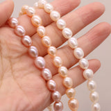 Freshwater Pearl Beads 8-9mm Rice Shape DIY Jewelry Making