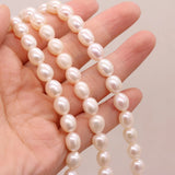 Freshwater Pearl Beads 8-9mm Rice Shape DIY Jewelry Making