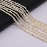 Natural Freshwater Pearl Punch Beads Loose Pearls 2-2.5mm