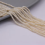 Natural Freshwater Pearl Punch Beads Loose Pearls 2-2.5mm