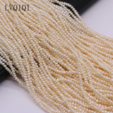 Natural Freshwater Pearl Small Punch Beads 2-2.5mm
