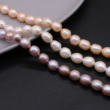 Natural Freshwater Pearl Top Rice Beads for DIY Jewelry Making