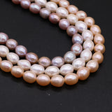 Natural Freshwater Pearl Top Rice Beads for DIY Jewelry Making
