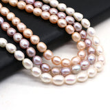 Natural Freshwater Pearl Top Rice Beads for DIY Jewelry Making