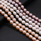 Natural Freshwater Pearl Top Rice Beads for DIY Jewelry Making