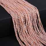 Freshwater Baroque Pearls Beads Rice Shape Loose Beads 2-2.5mm