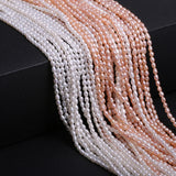 Freshwater Baroque Pearls Beads Rice Shape Loose Beads 2-2.5mm
